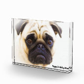 Pug Hond. Fotoblokken (Rechts)