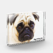 Pug Hond. Fotoblokken (Links)
