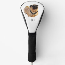 Pug (hond)