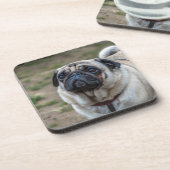 Pug hond harde plastic onderzetters (Linkerzijde)