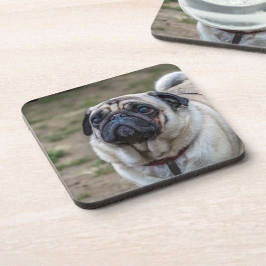 Pug hond harde plastic onderzetters (Linkerzijde)