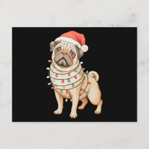 Pug Hond Kerstmis Sinterklaas Hoed Kerst Lichten V Feestdagenkaart