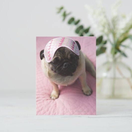 Pug hond met oogmasker op het hoofd dat op bed zit briefkaart (Staand voorkant)