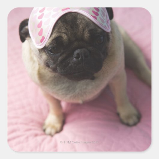 Pug hond met oogmasker op het hoofd dat op bed zit vierkante sticker (Voorkant)