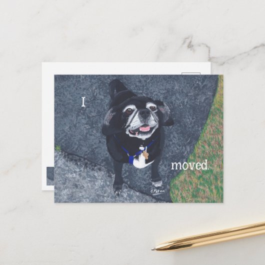Pug Hond Nieuw Adres Postkaarten (Voorkant / Achterkant in situ)