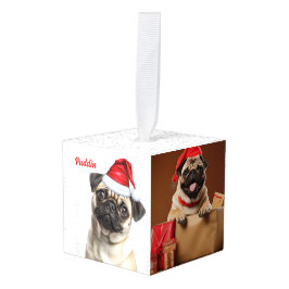 Pug Hond Twee Foto Kerstvakantie Decoratie