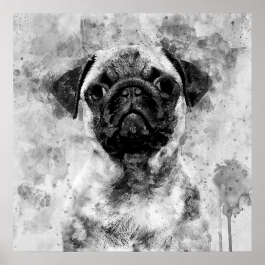 Pug Hond Zwart en Wit Aquarel 01 Poster (Voorkant)