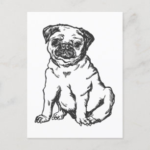 Pug hond, zwart & wit illustratie briefkaart