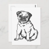 Pug hond, zwart & wit illustratie briefkaart (Voorkant / Achterkant)