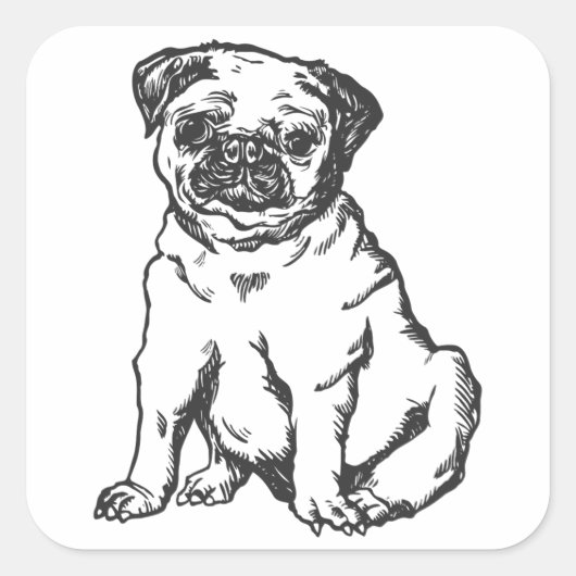 Pug hond, zwart & wit illustratie vierkante sticker (Voorkant)