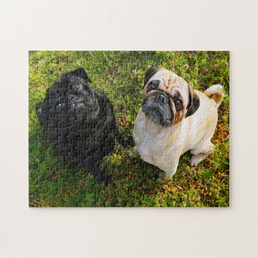 Pug Honden. Legpuzzel (Horizontaal)