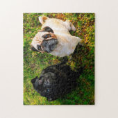 Pug Honden. Legpuzzel (Verticaal)