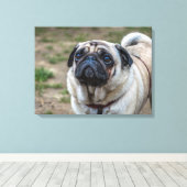 Pug hondenportret canvas print (Insitu (Houten vloer))
