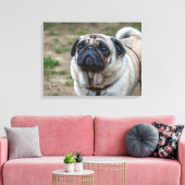Pug hondenportret canvas print (Insitu (Woonkamer))