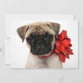 Pug-hondje gewikkeld in een kerstboog feestdagenkaart (Voorkant)
