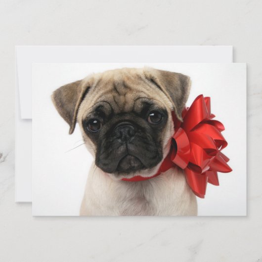 Pug-hondje gewikkeld in een kerstboog feestdagenkaart (Voorkant)