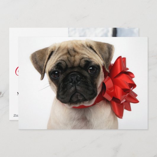 Pug-hondje gewikkeld in een kerstboog feestdagenkaart (Voorkant / Achterkant)