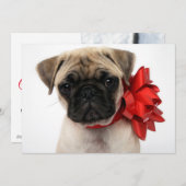 Pug-hondje gewikkeld in een kerstlint feestdagenkaart (Voorkant / Achterkant)