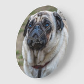 Pug-hondmuur Grote Klok (Hoek)