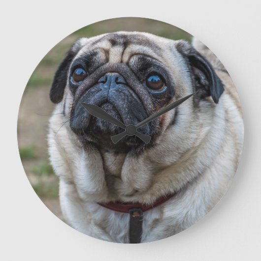 Pug-hondmuur Grote Klok (Voorkant)