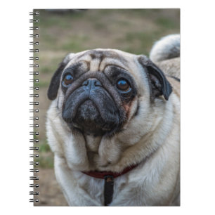 Pug hondnotitieboekje notitieboek