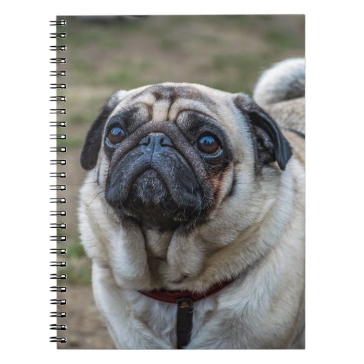 Pug hondnotitieboekje notitieboek (Voorkant)