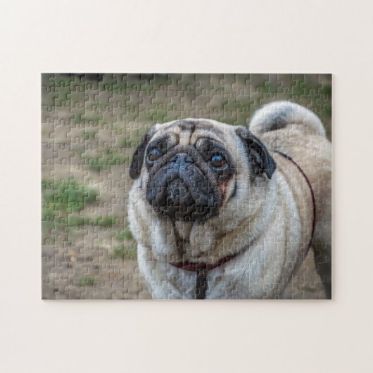 Pug-hondpuzzel Legpuzzel (Horizontaal)