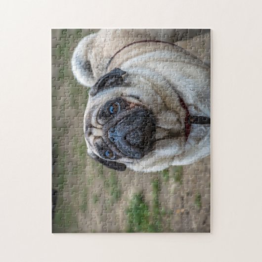 Pug-hondpuzzel Legpuzzel (Verticaal)