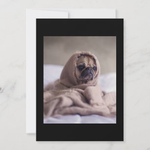 Pug in Blanket Cute Pug Hondenliefhebber Gift Bedankkaart