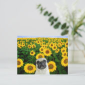 Pug in briefkaart zonnebloemen (Staand voorkant)