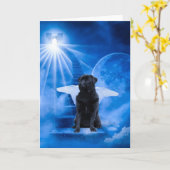 Pug in de hemel als engelensympathie kaart (Gele Bloem)