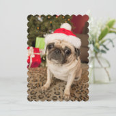Pug in de zitting van het Pet van de Kerstman op Feestdagenkaart (Staand voorkant)