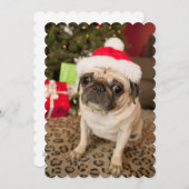 Pug in de zitting van het Pet van de Kerstman op Feestdagenkaart (Voorkant / Achterkant)