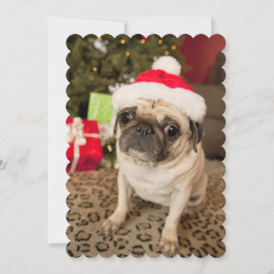 Pug in de zitting van het Pet van de Kerstman op Feestdagenkaart