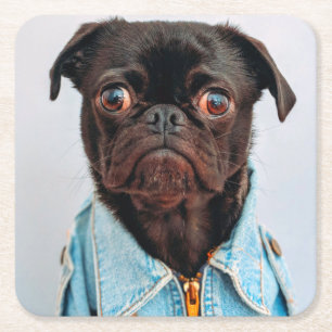 Pug in Denim Jackey Cute Schattig Dog Puppy Kartonnen Onderzetters