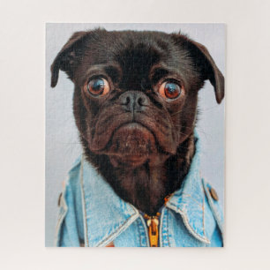 Pug in Denim Jackey Cute Schattig Dog Puppy Legpuzzel