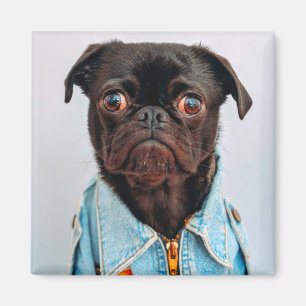 Pug in Denim Jackey Cute Schattig Dog Puppy Magneet