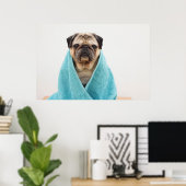 Pug in een handdoek poster (Thuiskantoor)