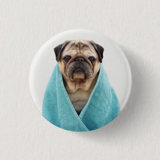 Pug in een handdoek ronde button 3,2 cm (Voorkant)