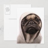 Pug in een hodie briefkaart (Voorkant / Achterkant)