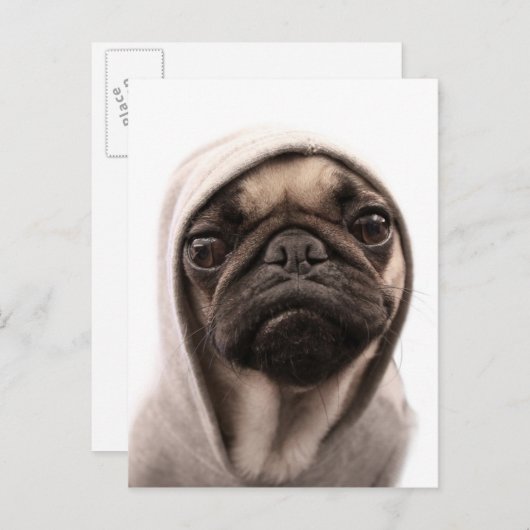 Pug in een hodie briefkaart (Voorkant / Achterkant)