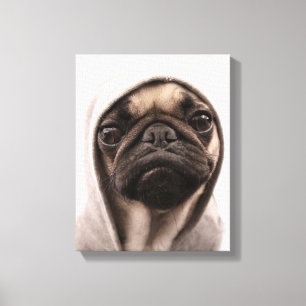 Pug in een hodie canvas afdruk