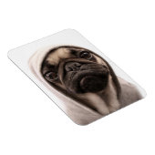 Pug in een hodie magneet (Rechterzijde)