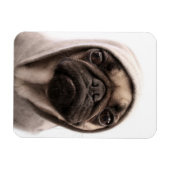 Pug in een hodie magneet (Horizontaal)
