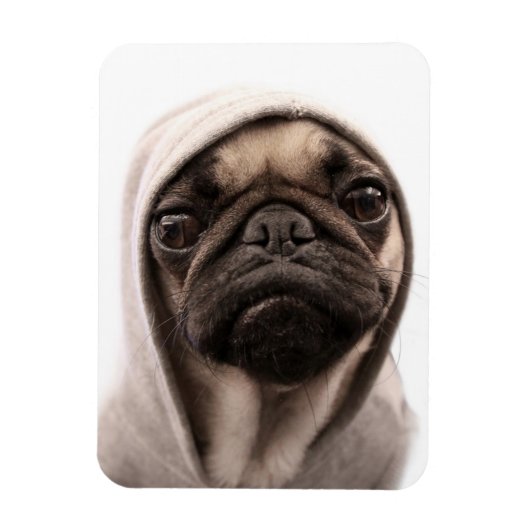 Pug in een hodie magneet (Verticaal)