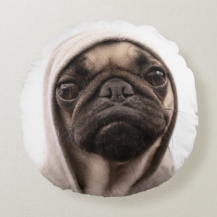 Pug in een hodie rond kussen