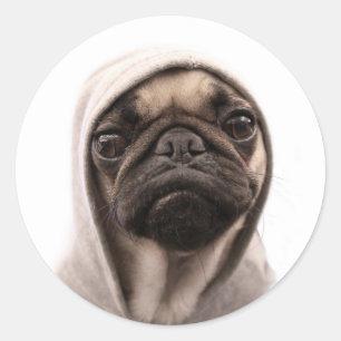 Pug in een hodie ronde sticker