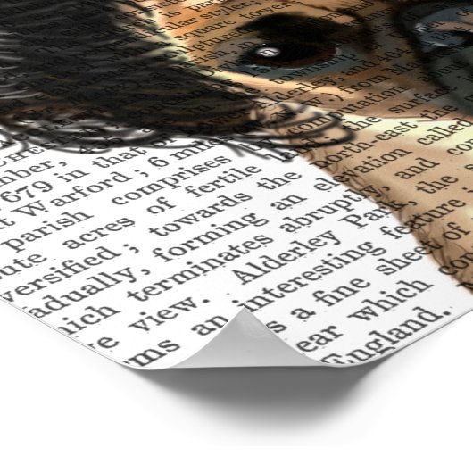 Pug in een slechte figuur poster (Hoek)