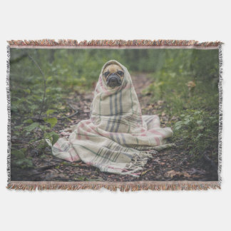 Pug in een zak deken
