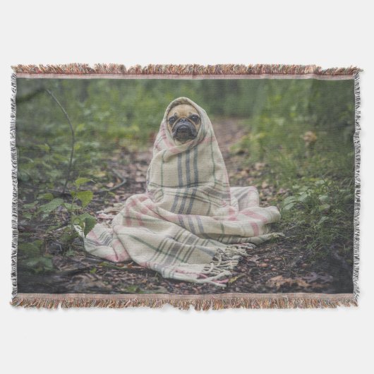 Pug in een zak deken (Voorkant)